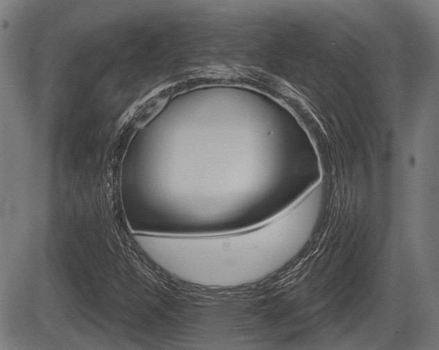 X0000083551304200702090739