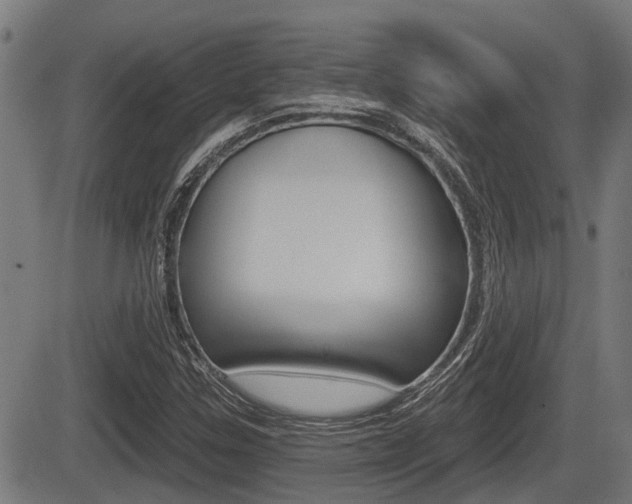 X0000083551307200702090740