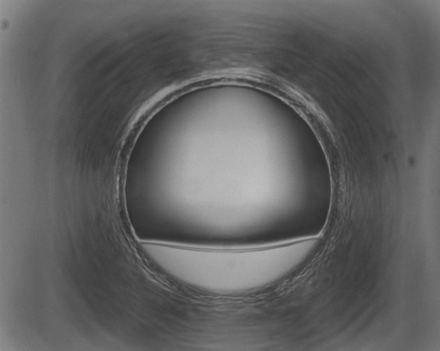 X0000083551316200702090740