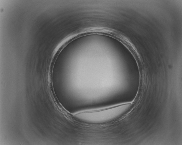 X0000083551328200702090740