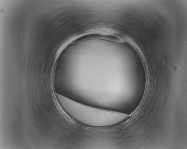 X0000083551344200702090740