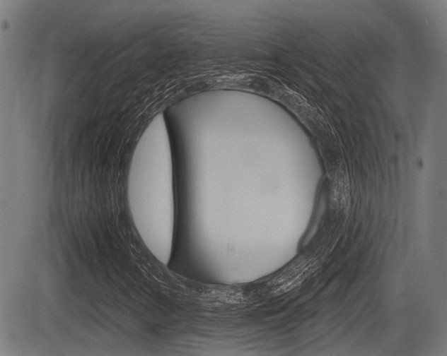 X0000083551346200702090739