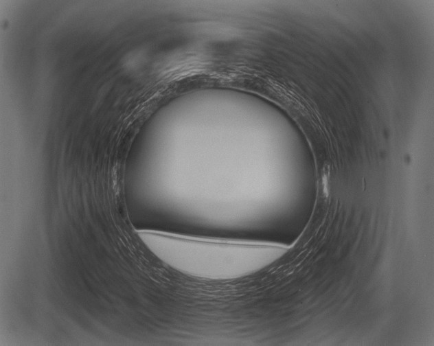 X0000083551347200702090739