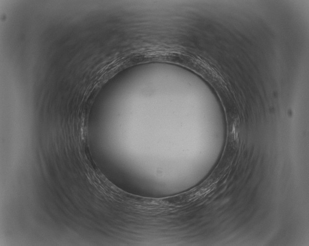 X0000083551348200702090739