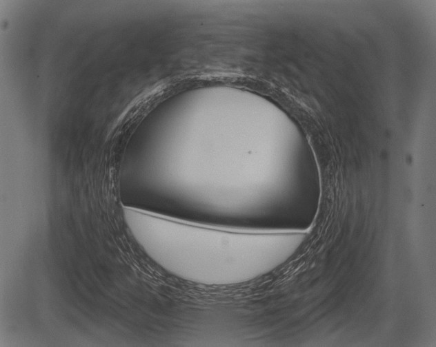 X0000083551351200702090739