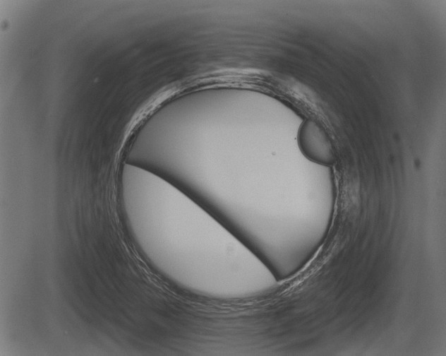 X0000083551362200702090739