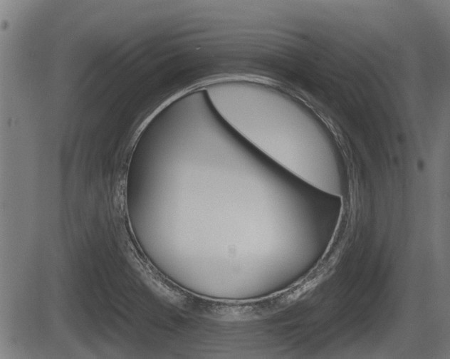 X0000083551369200702090739