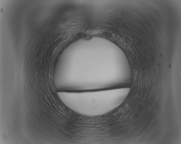 X0000083551393200702090738
