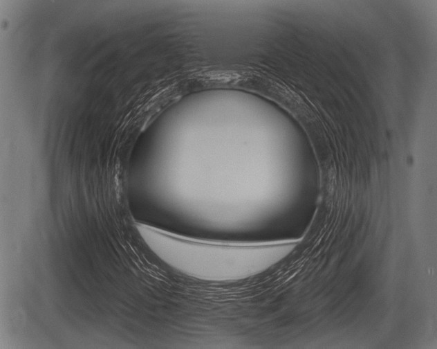 X0000083551394200702090738