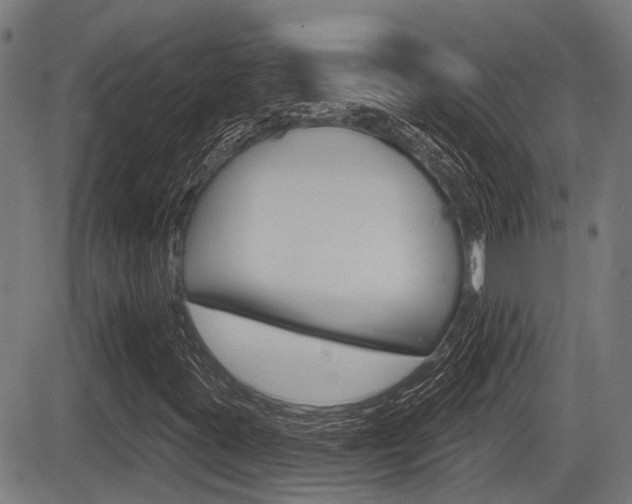X0000083551395200702090738