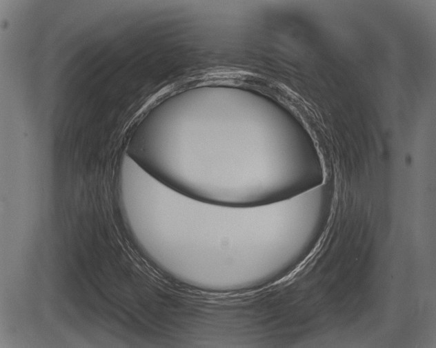 X0000083551401200702090738