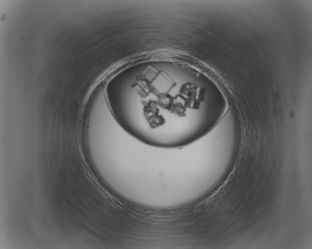 X0000083551410200702090738