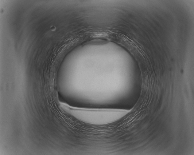 X0000083551441200702090738