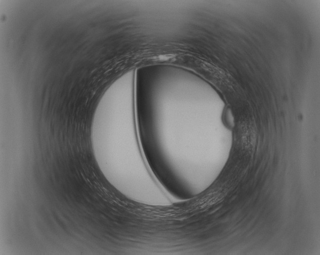 X0000083551442200702090738