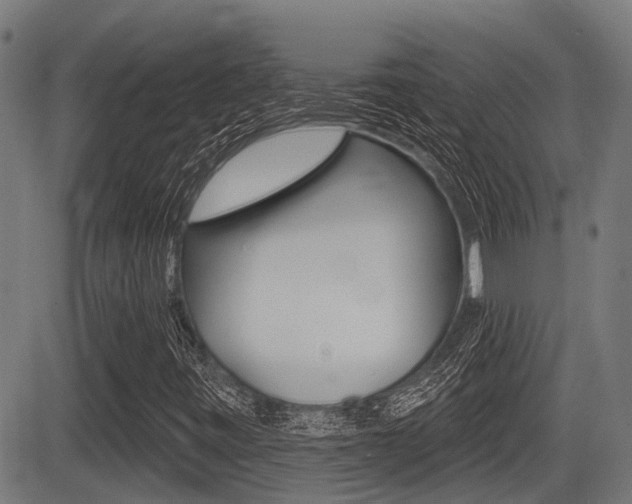 X0000083551443200702090738