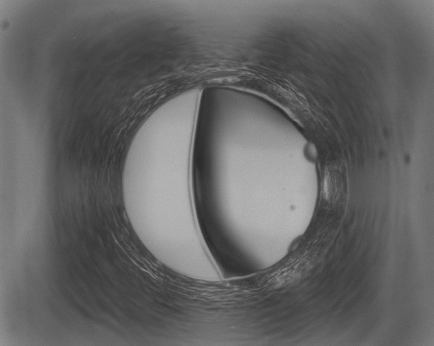 X0000083551444200702090738