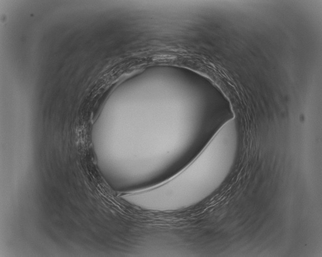 X0000083551445200702090738