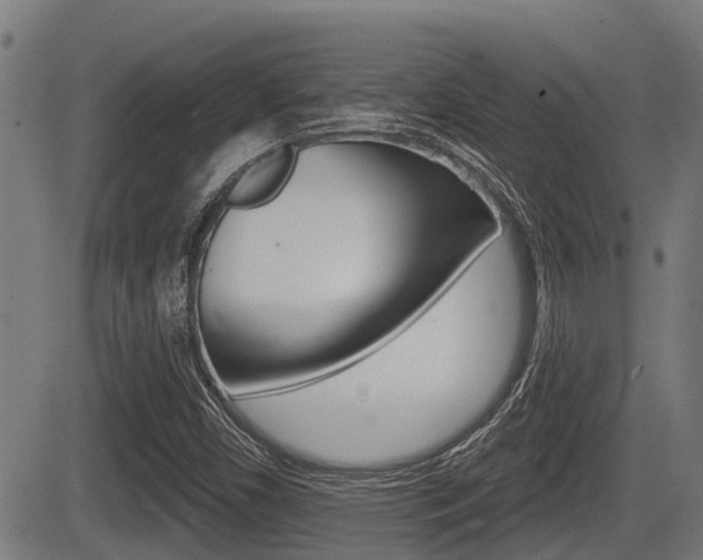 X0000083551450200702090738