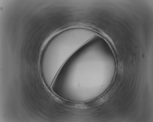 X0000083551464200702090737