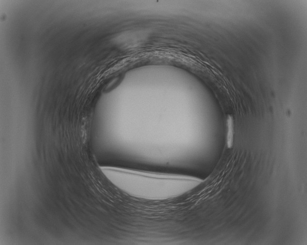 X0000083551491200702090736