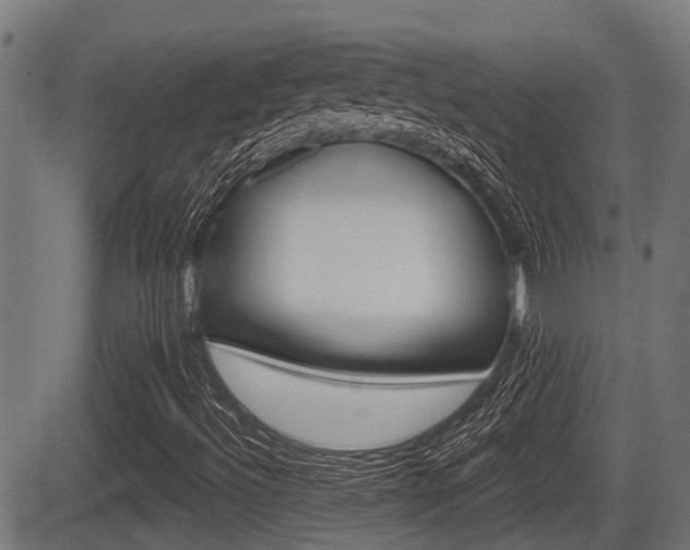 X0000083551492200702090736