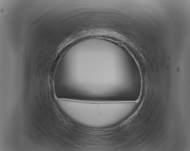 X0000083551497200702090736