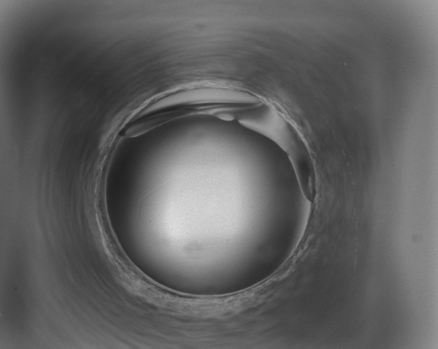 X0000083550001200702091111