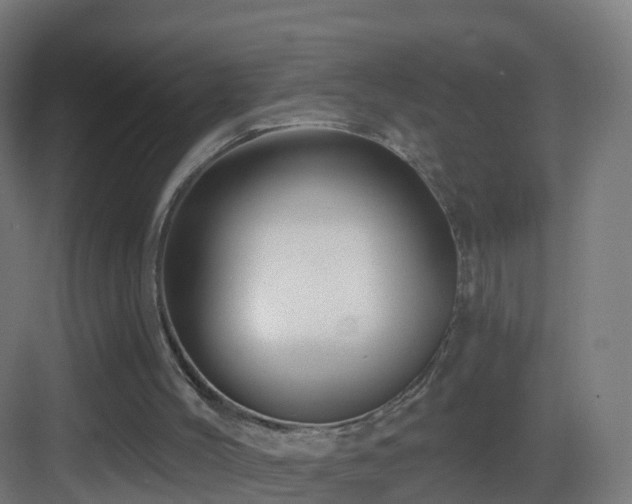 X0000083550004200702091110