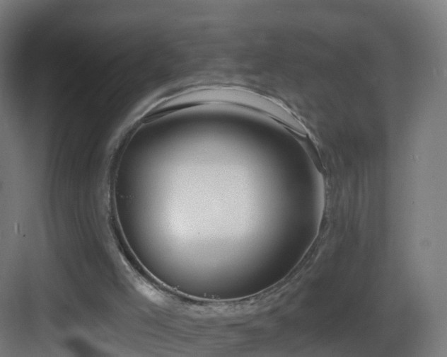 X0000083550005200702091110
