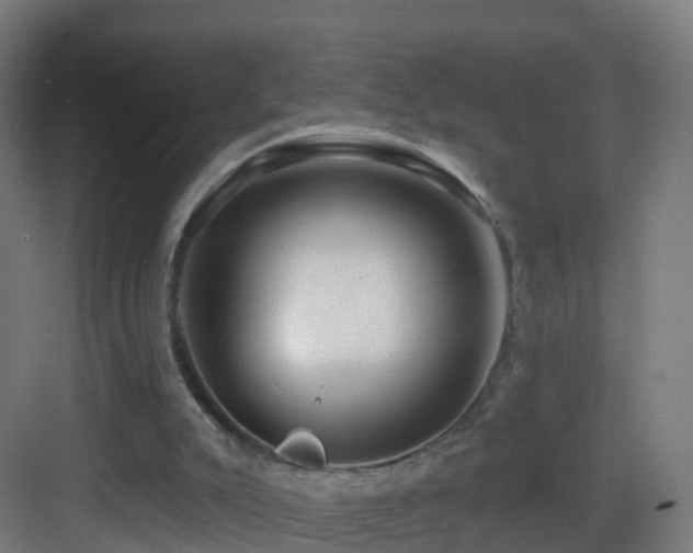 X0000083550007200702091110