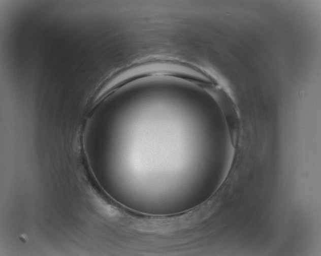 X0000083550009200702091110
