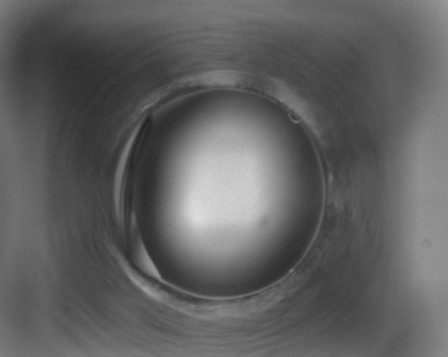 X0000083550013200702091110