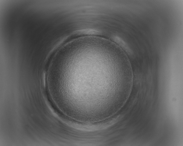 X0000083550014200702091110
