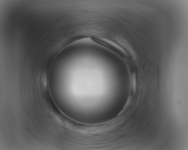X0000083550021200702091110