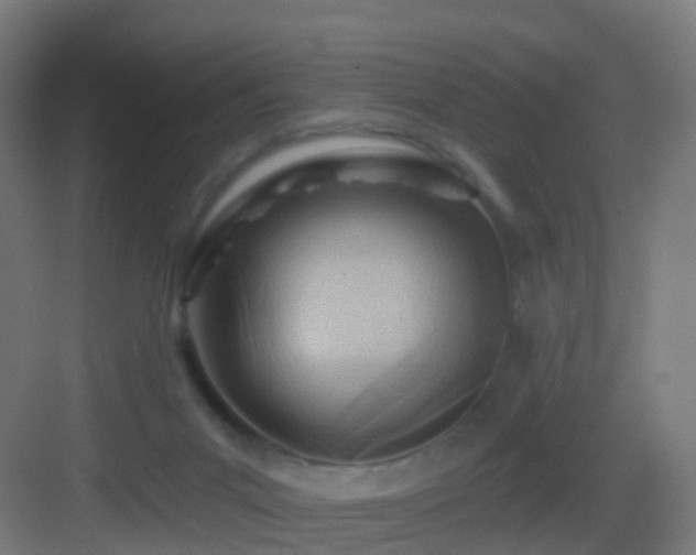 X0000083550023200702091110