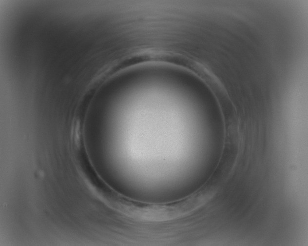X0000083550024200702091110