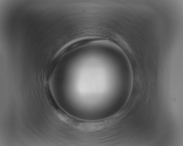 X0000083550025200702091110