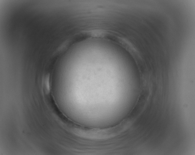 X0000083550028200702091110
