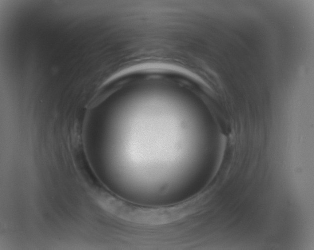 X0000083550029200702091110