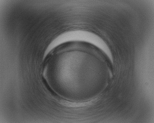 X0000083550031200702091110