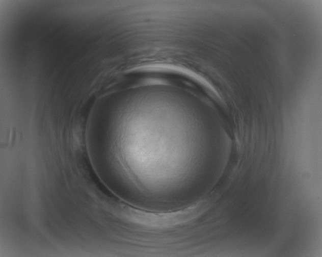 X0000083550035200702091110