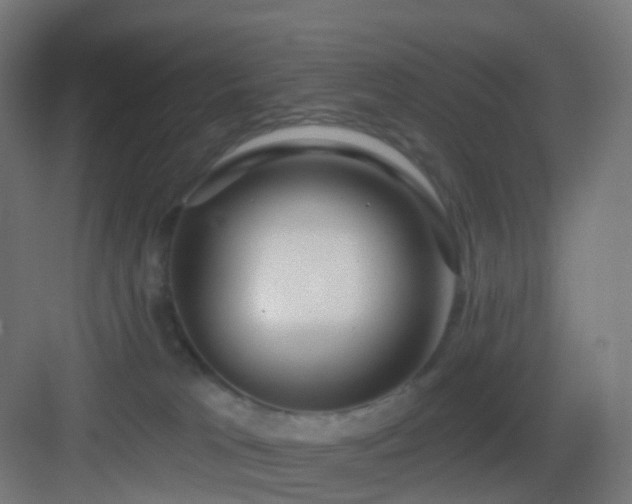 X0000083550037200702091110