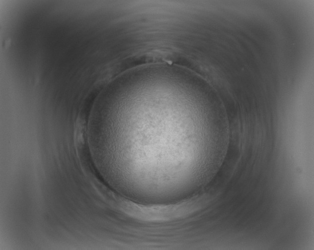 X0000083550038200702091110