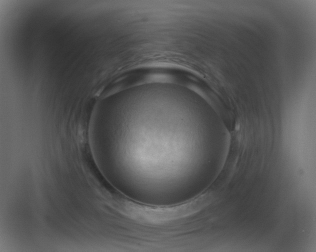 X0000083550039200702091110