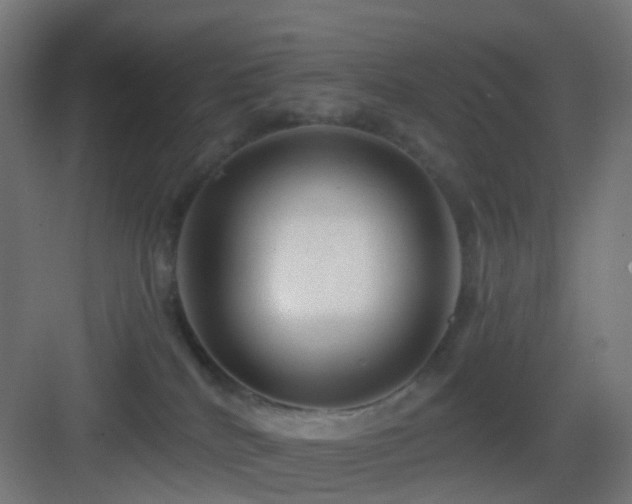 X0000083550040200702091110