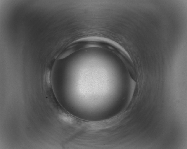 X0000083550041200702091110