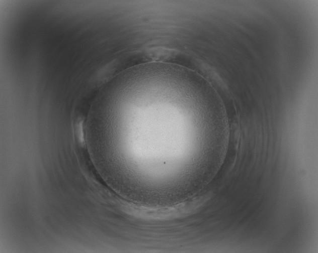 X0000083550042200702091110