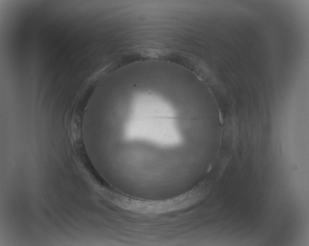 X0000083550043200702091110