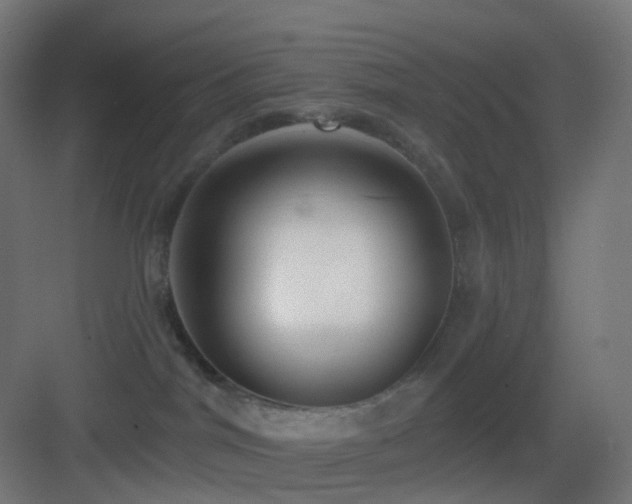 X0000083550044200702091110