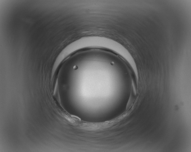 X0000083550045200702091110